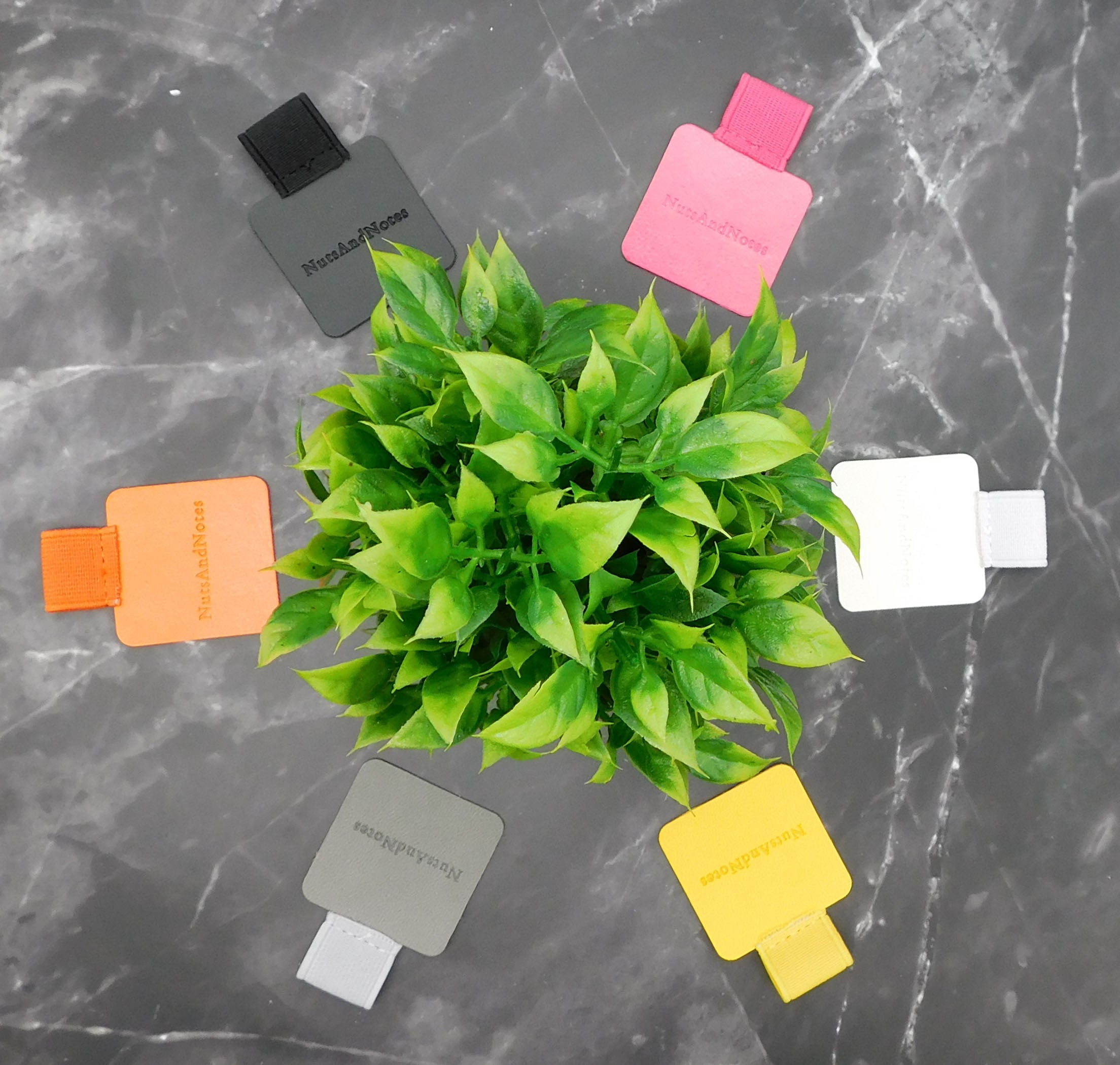Bunte Pen Loops von NutsAndNotes umgeben eine Pflanze – funktional und dekorativ.
